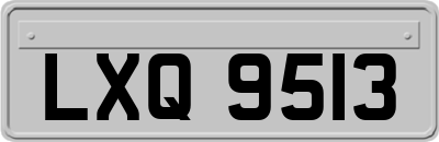 LXQ9513