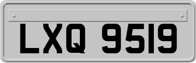 LXQ9519