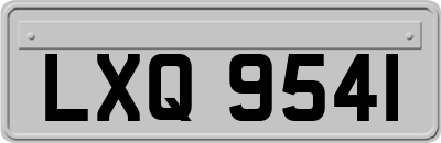 LXQ9541