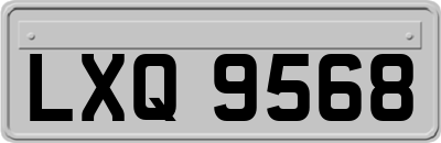 LXQ9568