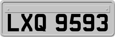 LXQ9593
