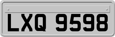 LXQ9598
