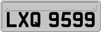 LXQ9599