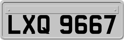 LXQ9667