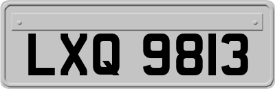 LXQ9813