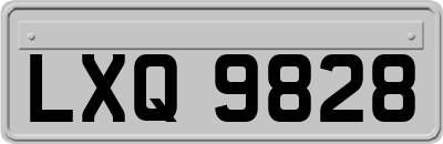 LXQ9828