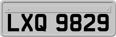 LXQ9829