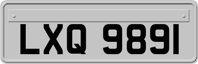 LXQ9891