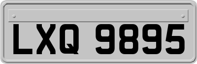 LXQ9895