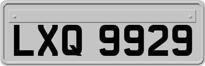 LXQ9929