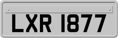 LXR1877