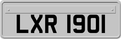 LXR1901