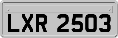 LXR2503