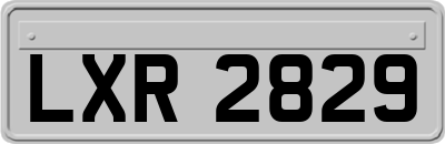 LXR2829