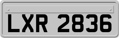LXR2836