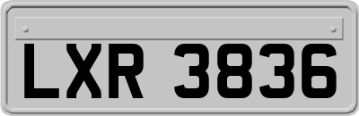 LXR3836