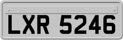 LXR5246