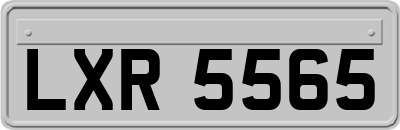 LXR5565