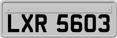 LXR5603