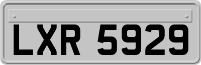 LXR5929