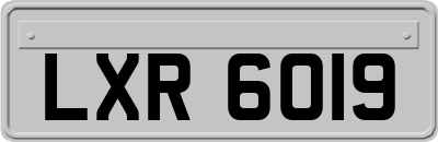 LXR6019