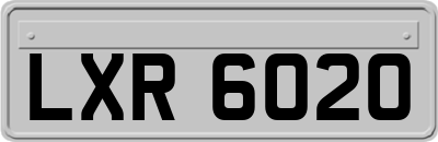 LXR6020