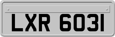 LXR6031