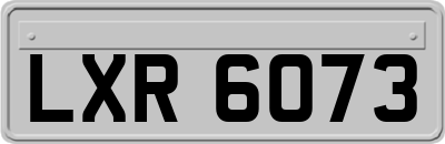 LXR6073