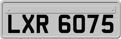 LXR6075