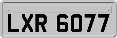LXR6077