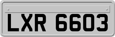 LXR6603