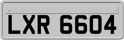 LXR6604