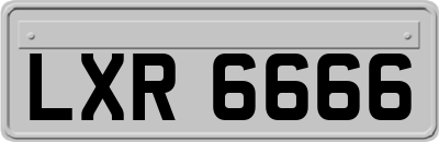 LXR6666