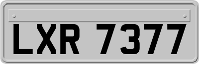LXR7377