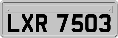 LXR7503