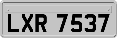 LXR7537