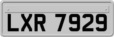 LXR7929
