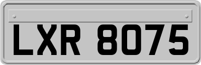 LXR8075