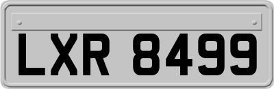 LXR8499