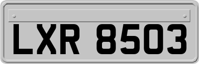 LXR8503