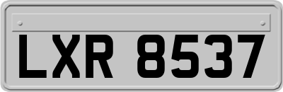 LXR8537