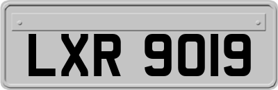 LXR9019