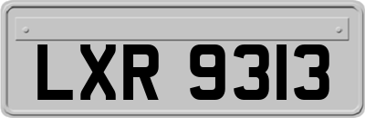 LXR9313