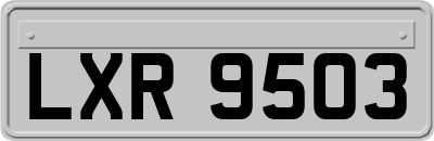 LXR9503