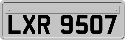 LXR9507