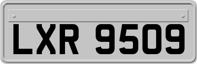 LXR9509