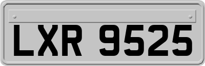 LXR9525