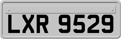 LXR9529