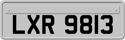 LXR9813