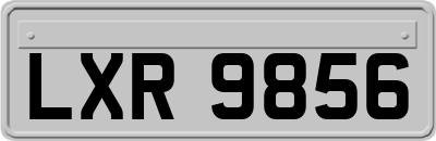 LXR9856